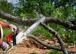 Coweta, OK Tree Care Services Company